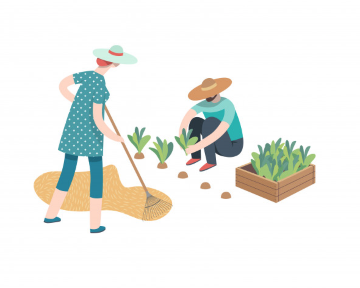 Lenteschoonmaak zaterdag 14 maart 2019 Lenteschoonmaak zaterdag 14 maart 2019
