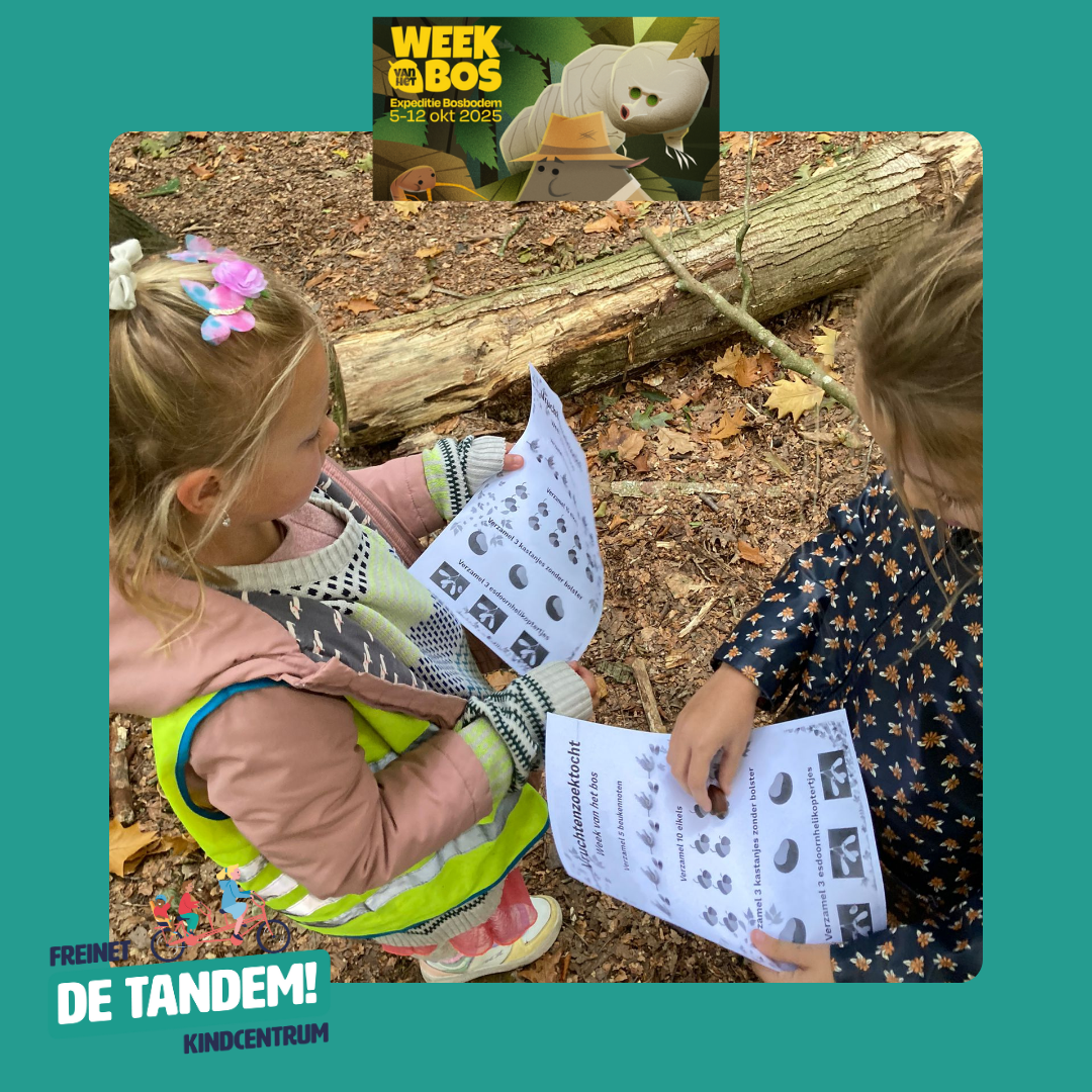 week vh bos 2025